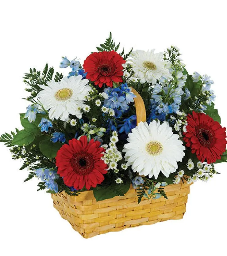 SALUTE TO THE RED, WHITE & BLUE BASKET